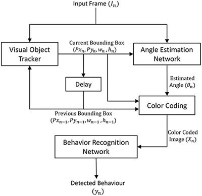 Revealing Sea Turtle Behavior in Relation to Fishing Gear Using Color-Coded Spatiotemporal Motion Patterns With Deep Neural Networks